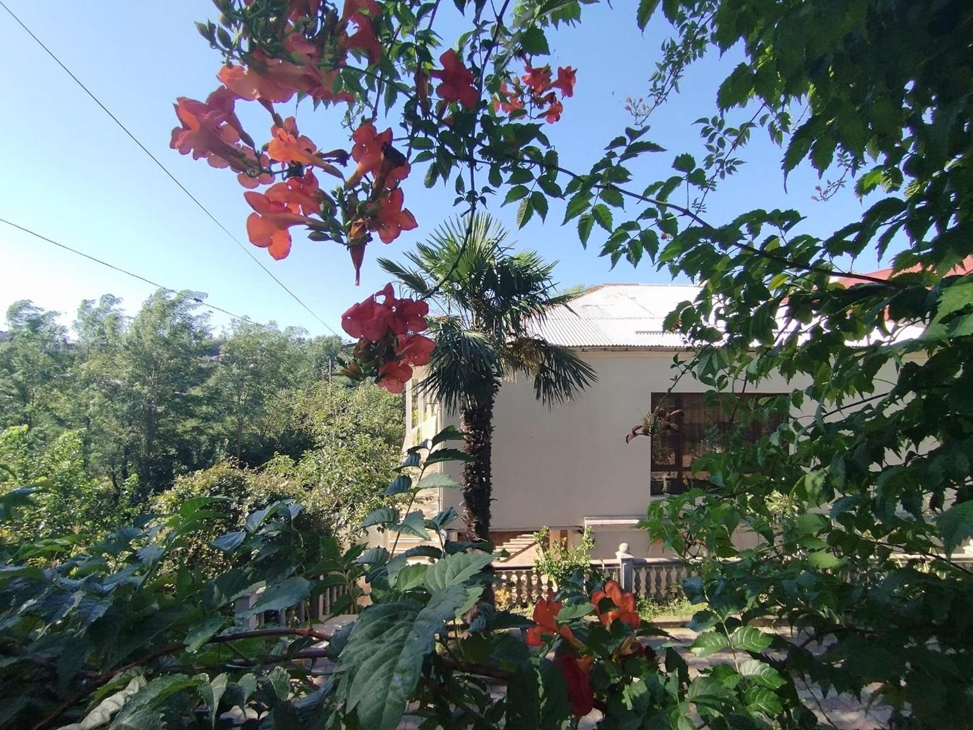 Hostel Kutaisi By Kote Buitenkant foto